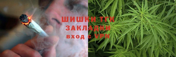 PSILOCYBIN Липки