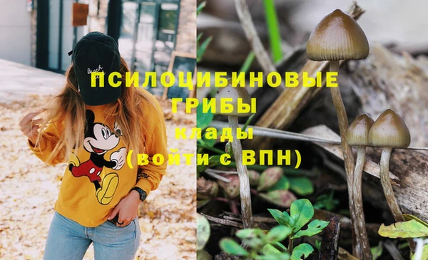 PSILOCYBIN Липки
