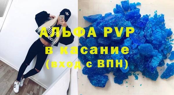 PSILOCYBIN Липки