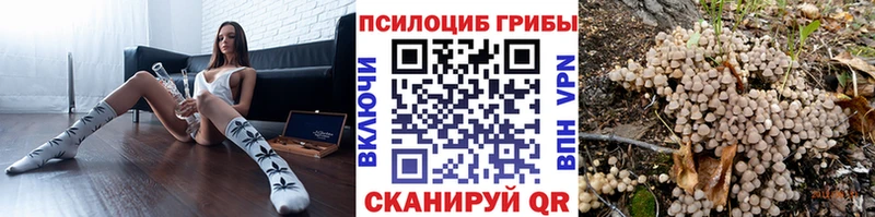 МЕГА маркетплейс  цены наркотик  Юрьевец  Псилоцибиновые грибы Psilocybe 